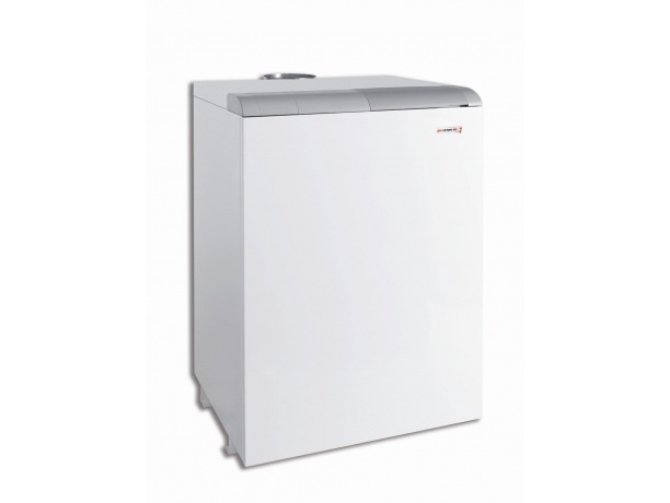 Газовый напольный котел Protherm Медведь 20 TLO