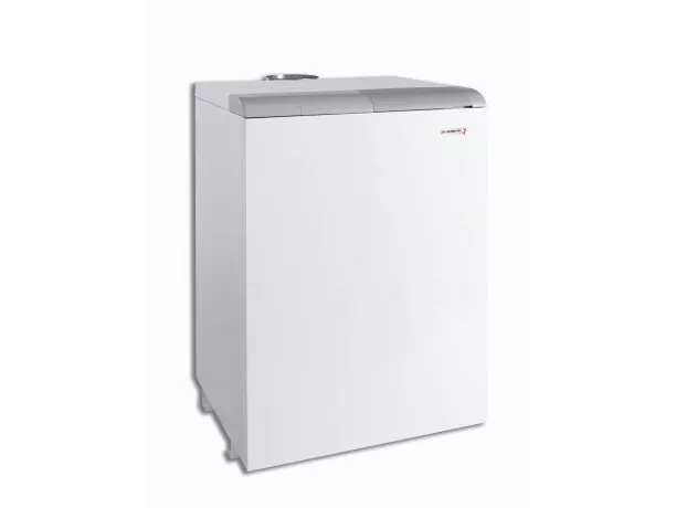 Газовый напольный котел Protherm Медведь 30 TLO