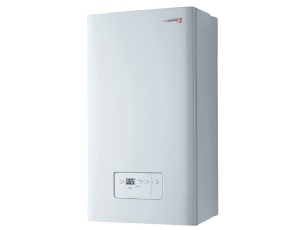 Газовый настенный котел Protherm Гепард 23 MOV